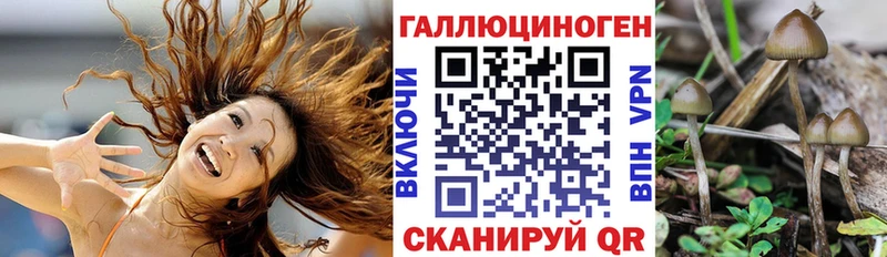 Галлюциногенные грибы MAGIC MUSHROOMS  Горбатов 
